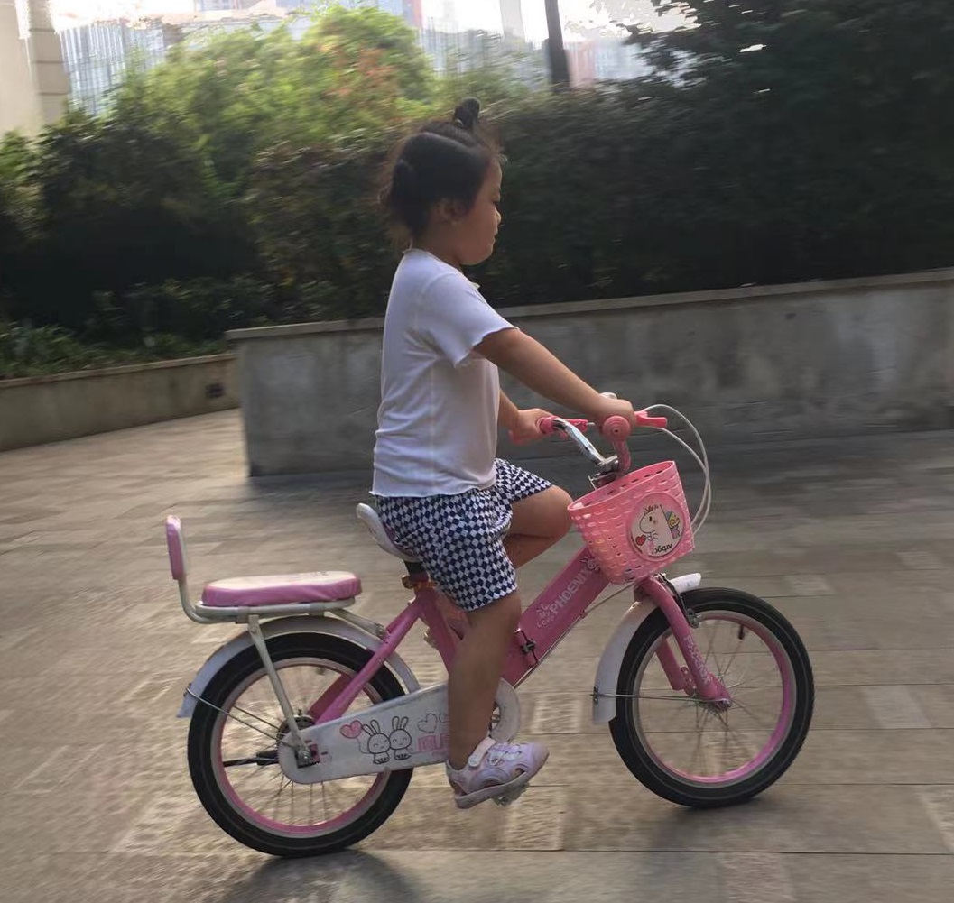 夕阳中的可可
